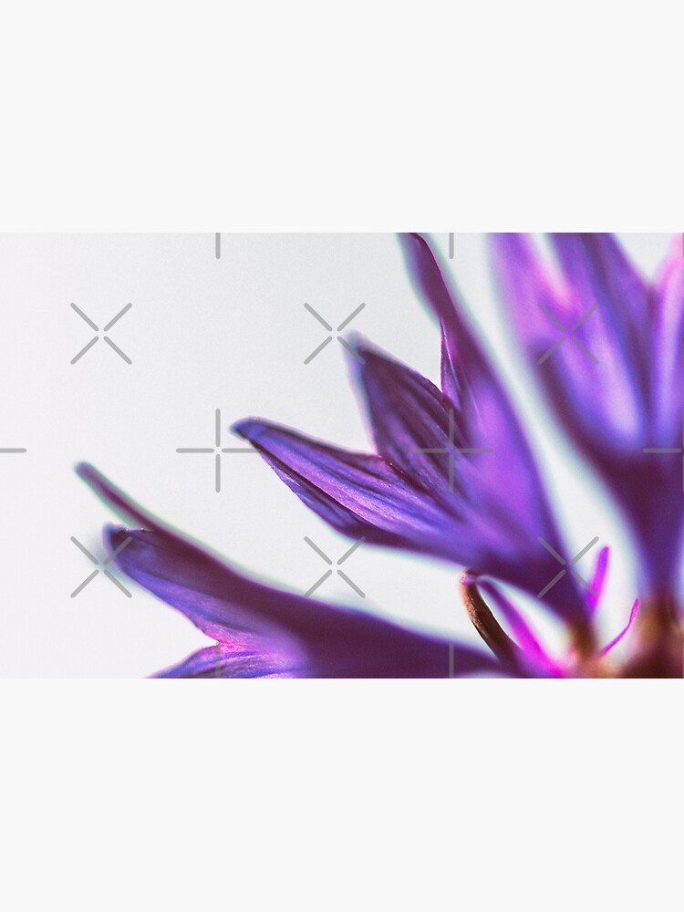 Flower Mystical by WendyLeyten