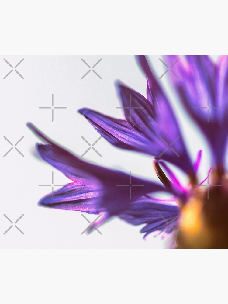 Flower Mystical by WendyLeyten
