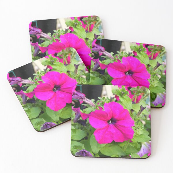 Item preview, Hot Pink Petunia designed and sold by Steven Cousley.