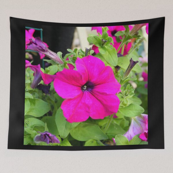 Item preview, Hot Pink Petunia designed and sold by Steven Cousley.