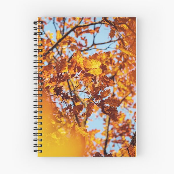 Item preview, The stunning beauty of autumn leaves. designed and sold by Alexander Sorokopud.