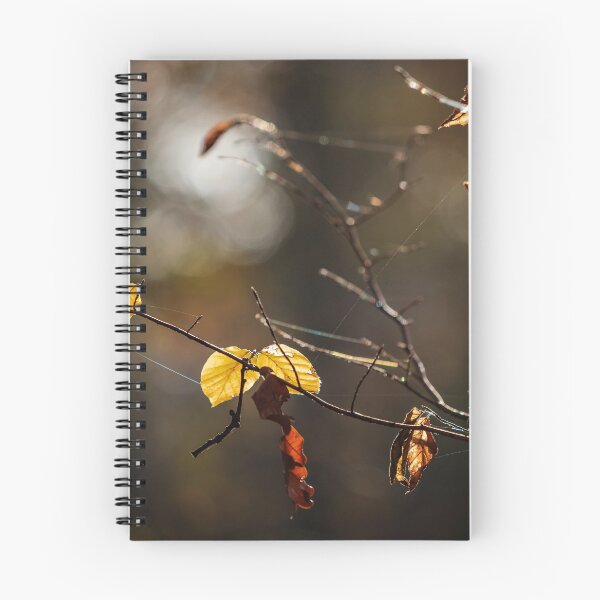 Item preview, The stunning beauty of autumn leaves. designed and sold by Alexander Sorokopud.