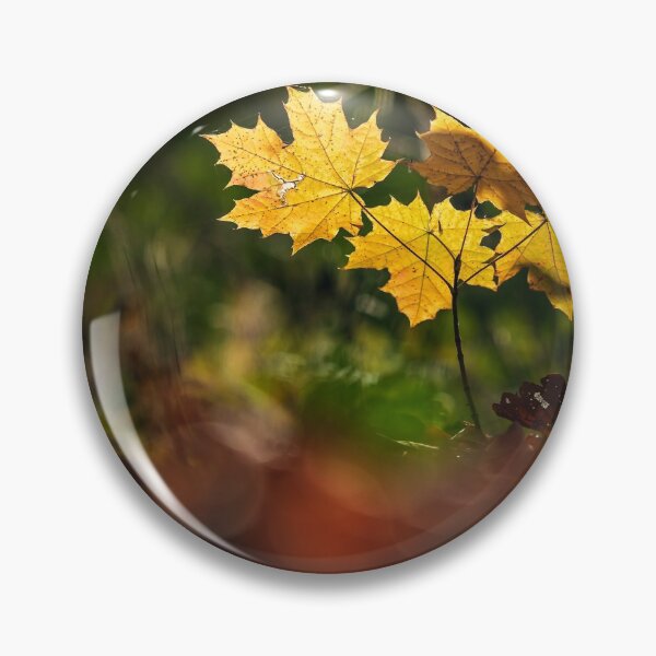 Item preview, The stunning beauty of autumn leaves. designed and sold by Alexander Sorokopud.