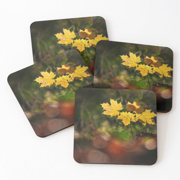 Item preview, The stunning beauty of autumn leaves. designed and sold by Alexander Sorokopud.