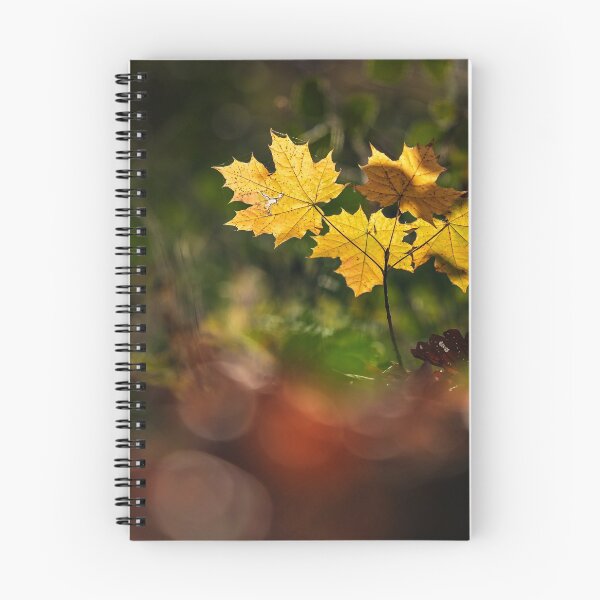 Item preview, The stunning beauty of autumn leaves. designed and sold by Alexander Sorokopud.