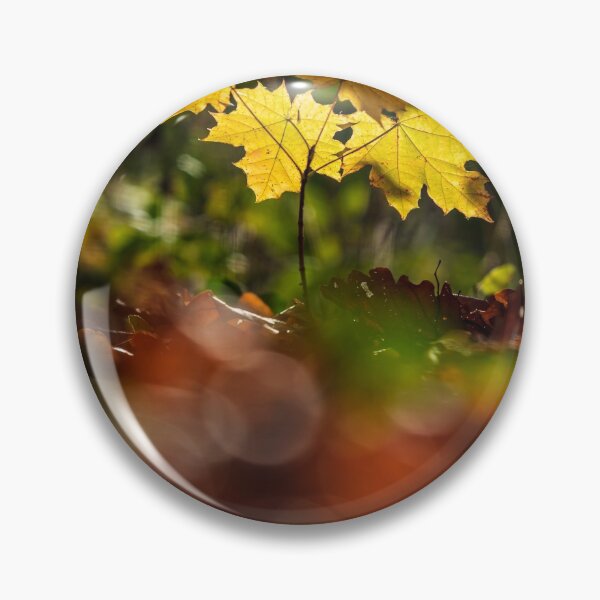 Item preview, The stunning beauty of autumn leaves. designed and sold by Alexander Sorokopud.