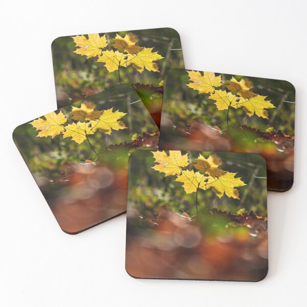 Item preview, The stunning beauty of autumn leaves. designed and sold by Alexander Sorokopud.