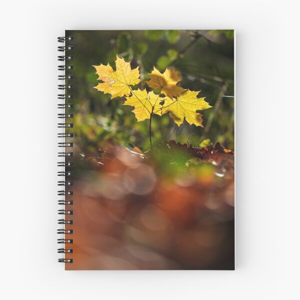 Item preview, The stunning beauty of autumn leaves. designed and sold by Alexander Sorokopud.