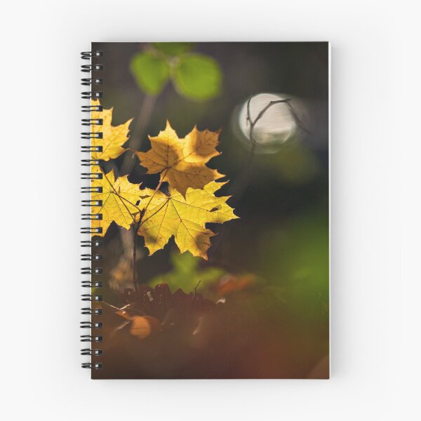 Item preview, The stunning beauty of autumn leaves. designed and sold by Alexander Sorokopud.