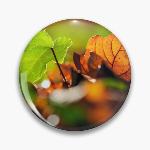 Item preview, The stunning beauty of autumn leaves. designed and sold by Alexander Sorokopud.