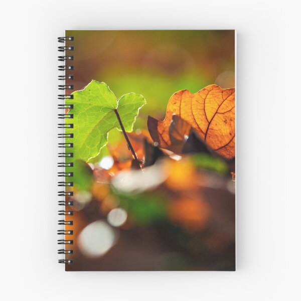 Item preview, The stunning beauty of autumn leaves. designed and sold by Alexander Sorokopud.