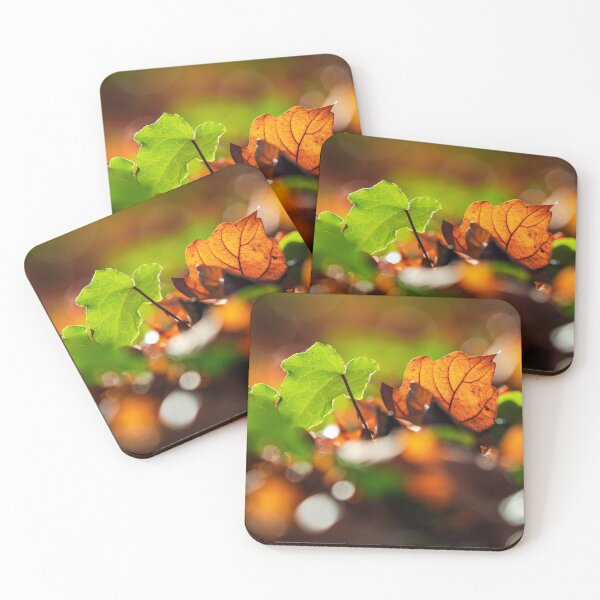 Item preview, The stunning beauty of autumn leaves. designed and sold by Alexander Sorokopud.