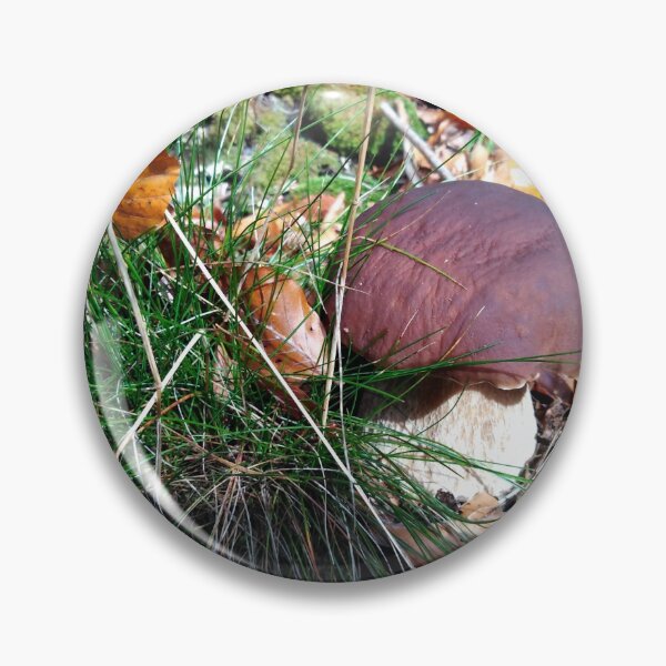 Item preview, Stunningly beautiful porcini mushrooms in the forest in the sun, real, strong and fresh designed and sold by Alexander Sorokopud.