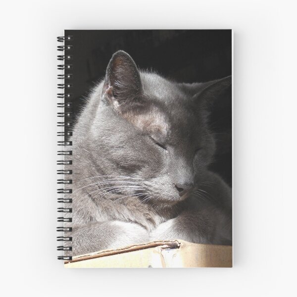 Item preview, Contentment on a Box designed and sold by Chris Gudger.