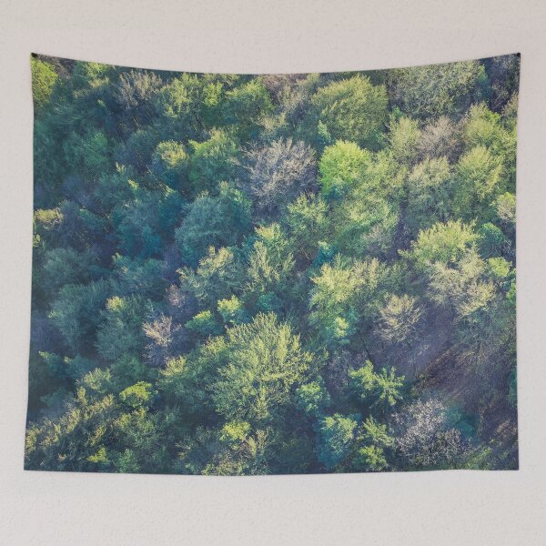 Item preview, Forest Birds-eye View designed and sold by Damian Strzechowski.