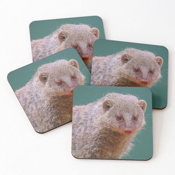 Item preview, Mongoose Smile designed and sold by Fearless-Fox.