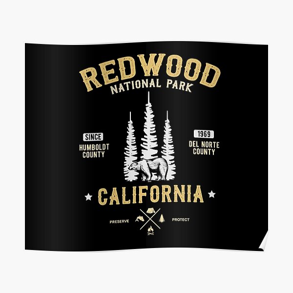 Redwood National Park, California National Park Redwood Forest Poster