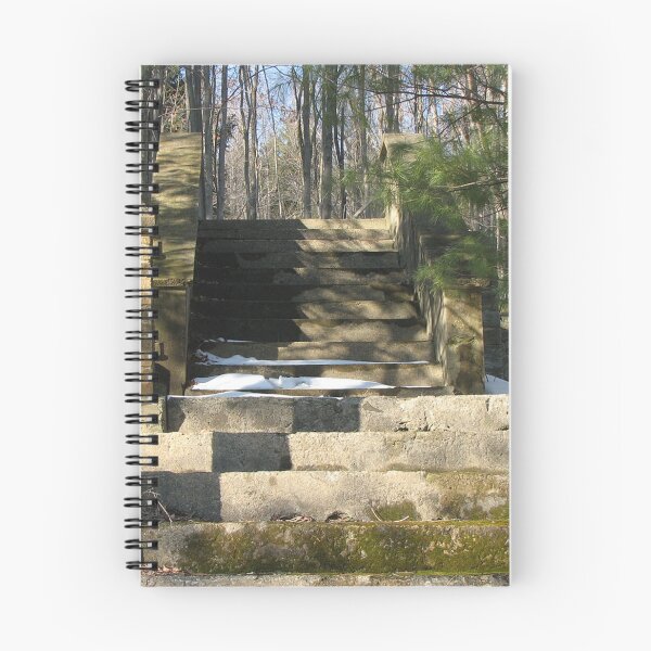 Item preview, Steps To Nowhere - St. Paul German Lutheran Church in Winburne Remains designed and sold by Grassflat.