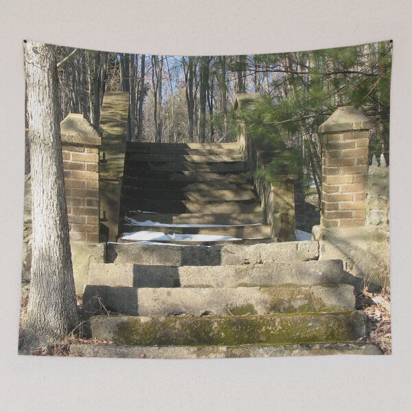 Item preview, Steps To Nowhere - St. Paul German Lutheran Church in Winburne Remains designed and sold by Grassflat.