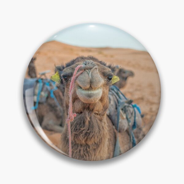 Item preview, Camel up front designed and sold by Photopat.
