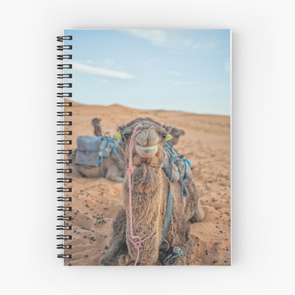 Item preview, Camel up front designed and sold by Photopat.