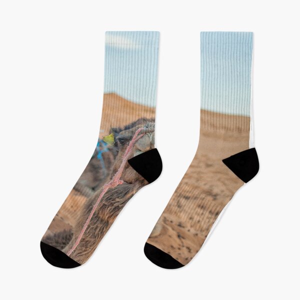 Item preview, Camel up front designed and sold by Photopat.