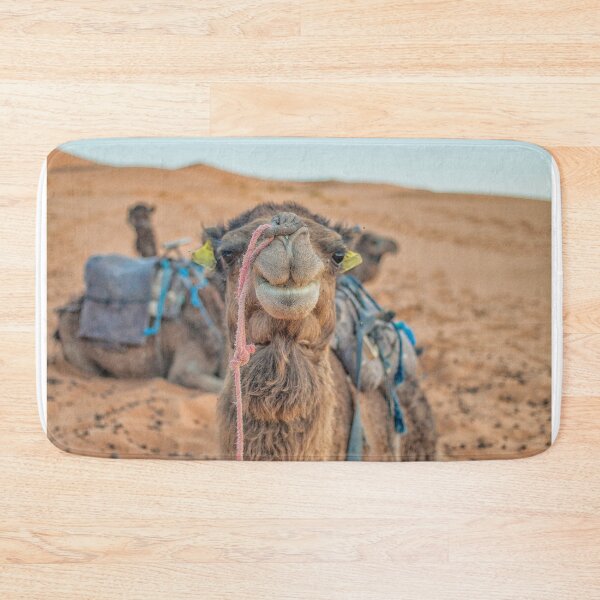 Item preview, Camel up front designed and sold by Photopat.