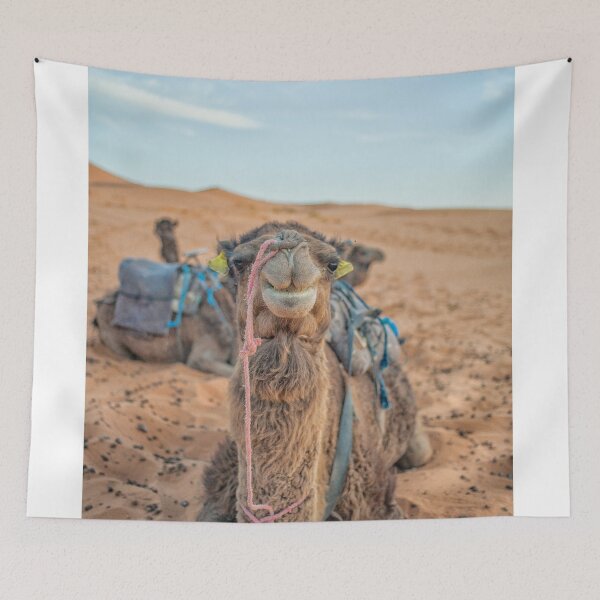 Item preview, Camel up front designed and sold by Photopat.