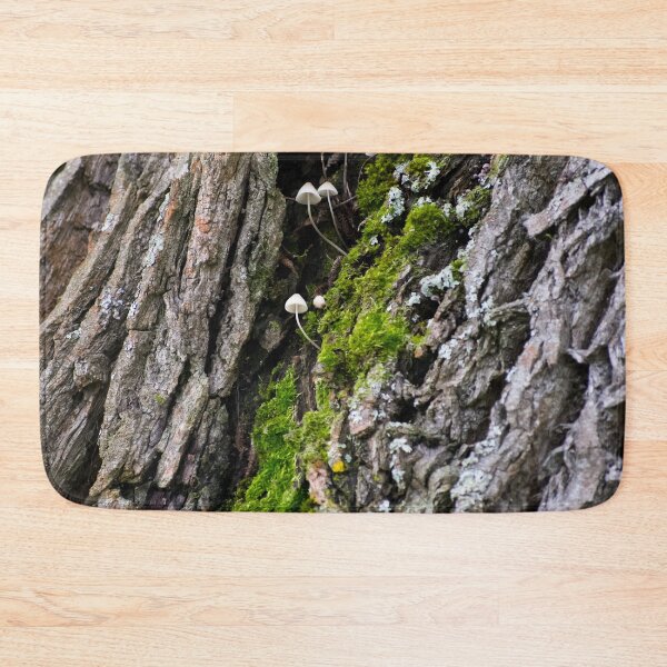 Item preview, Tree trunk and mushrooms designed and sold by carolmaia.