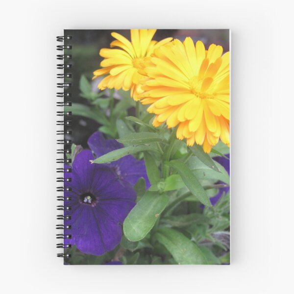 Aperçu de l'œuvre Couleur naturelle créée et vendue par FlowerCloud.