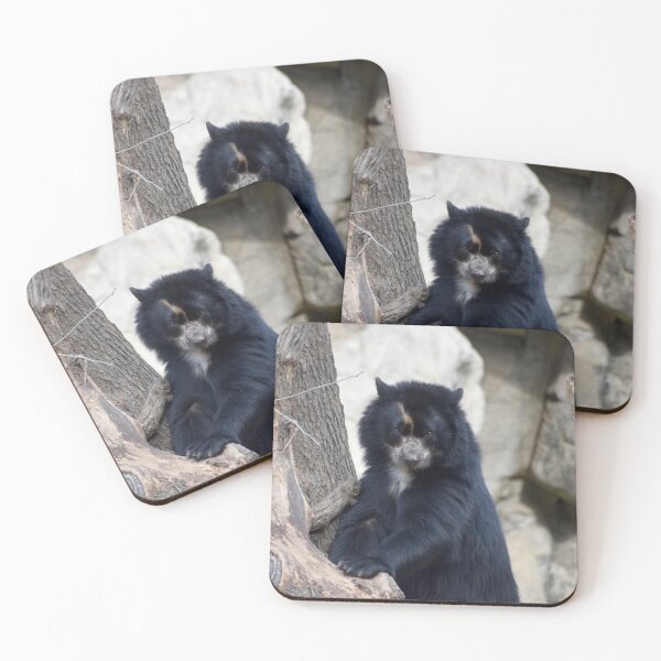 Item preview, Andean Bear at the National Zoo designed and sold by Zoo and Nature Photography by Karie.