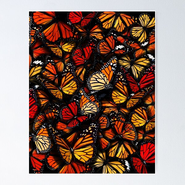 Aperçu de l'œuvre Papillons créée et vendue par MaxencePierrard.