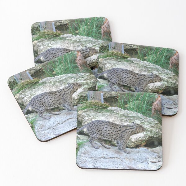 Item preview, Serval On The Rocks designed and sold by eidann.