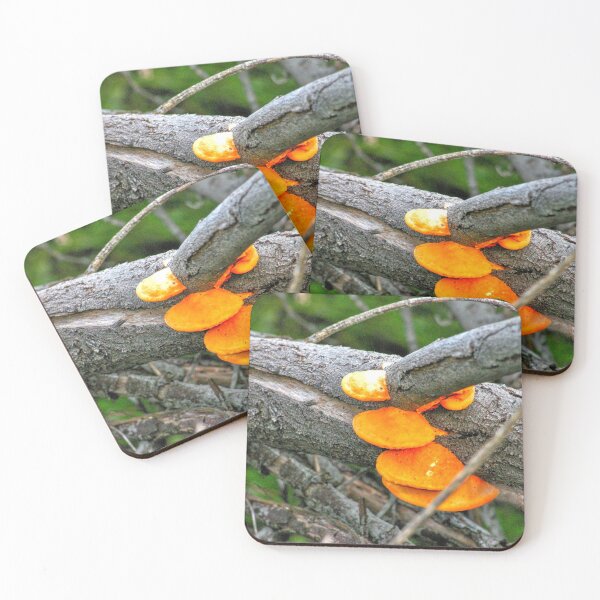 Item preview, Orange Fungus designed and sold by eidann.