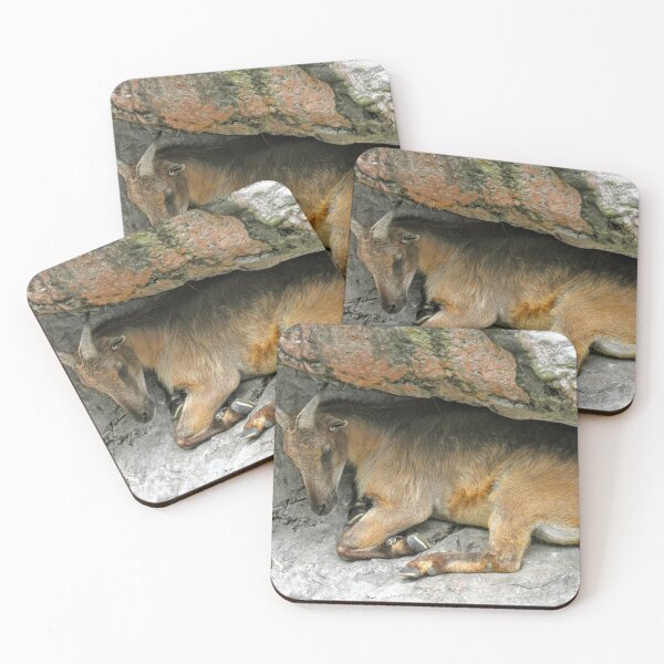 Item preview, Hiding Ibex designed and sold by eidann.