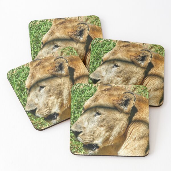 Item preview, Lioness On The Grass designed and sold by eidann.