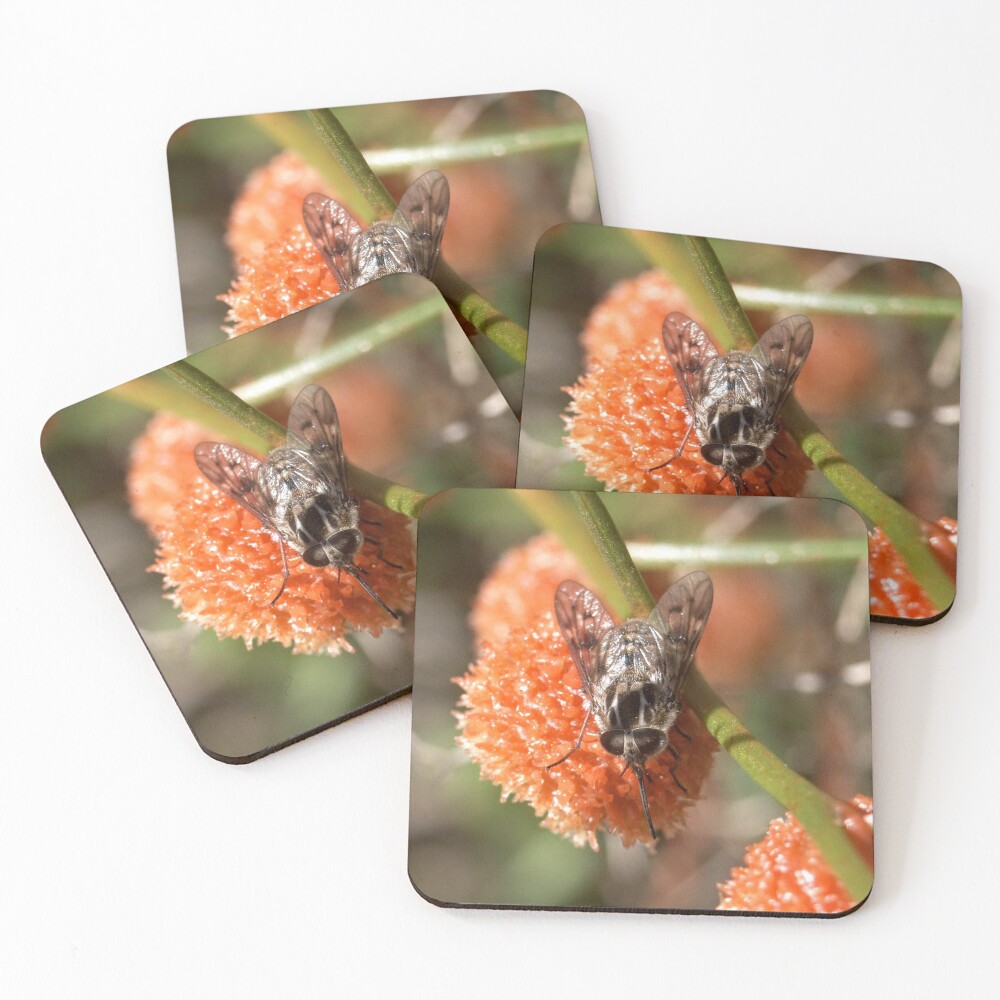 Item preview, Coasters (Set of 4) designed and sold by eidann.