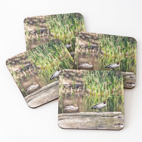 Item preview, Ducks on a log designed and sold by eidann.