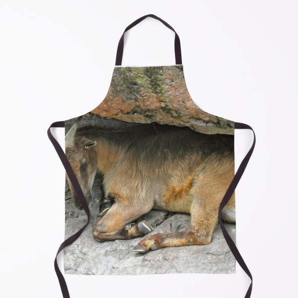 Item preview, Hiding Ibex designed and sold by eidann.