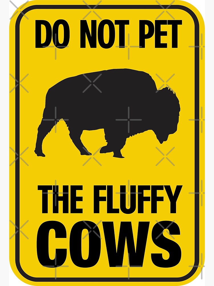 Thumbnail 3 of 3, Poster, Bison Fun - Do Not Pet The Fluffy Cows designed and sold by MorganMadness.