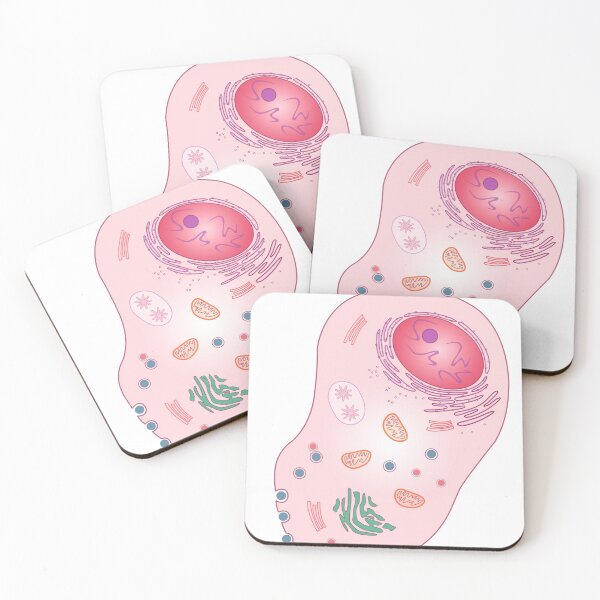 Item preview, Animal cell designed and sold by ScienceSource.