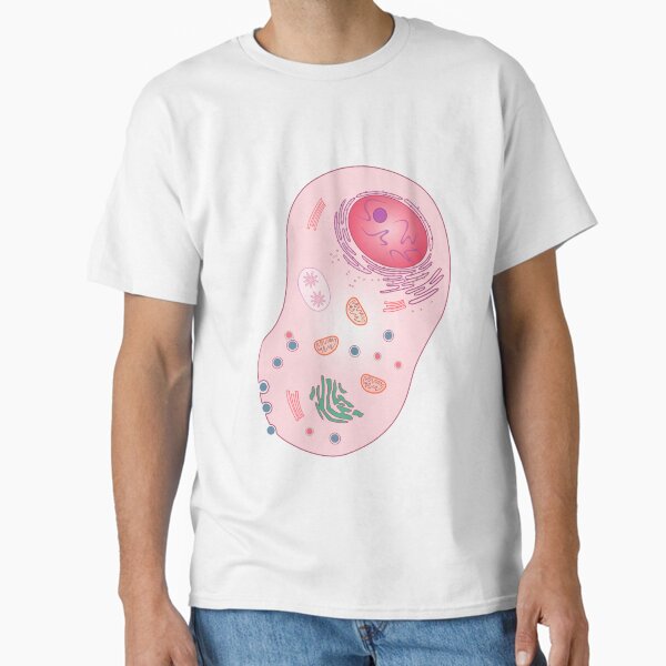 Item preview, Animal cell designed and sold by ScienceSource.