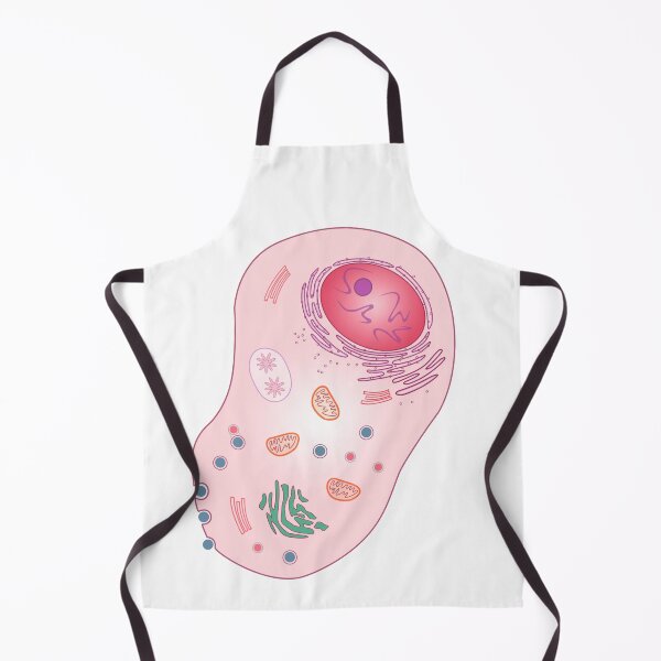 Item preview, Animal cell designed and sold by ScienceSource.