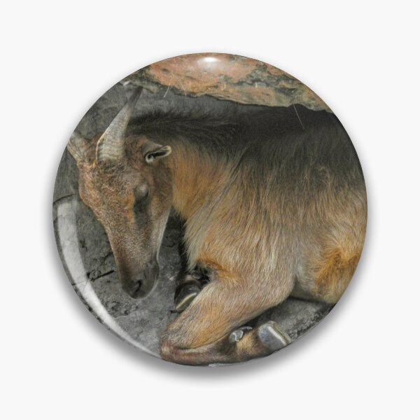 Item preview, Hiding Ibex designed and sold by eidann.
