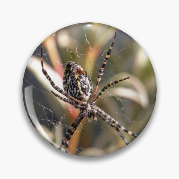 Artikelvorschau, Arachnid entworfen und verkauft von eidann.