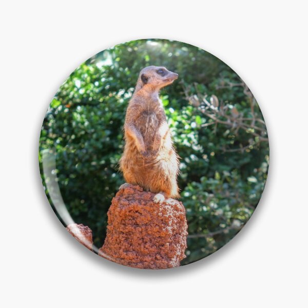 Item preview, Handsome Meerkat designed and sold by eidann.