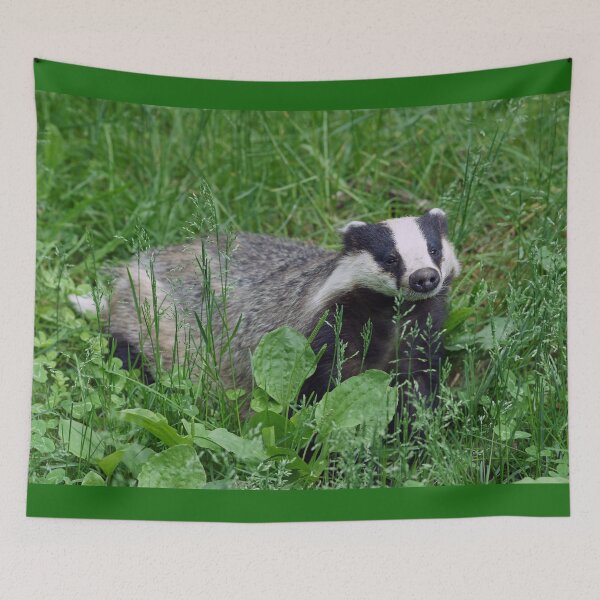 Item preview, Badgering Around designed and sold by Fearless-Fox.