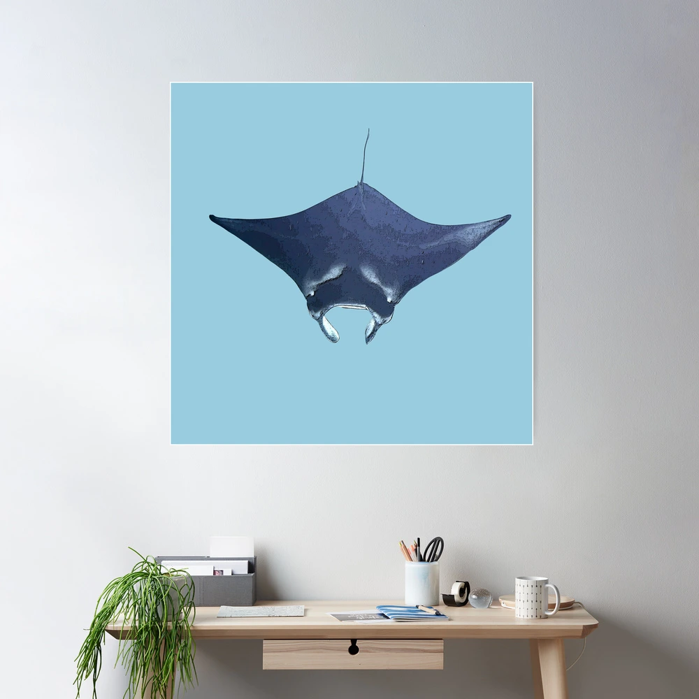 Manta Ray Color Print