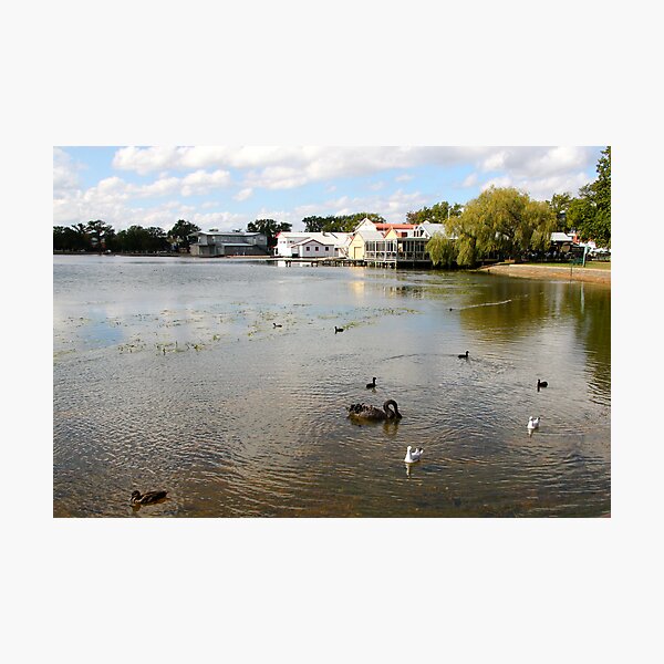 Item preview, Ballarat's Lake Wendouree designed and sold by jayview.