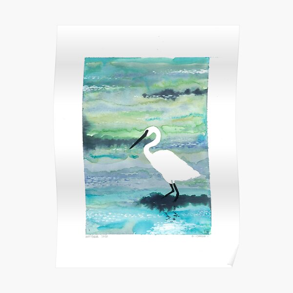 L'aigrette de la mer blanche Poster